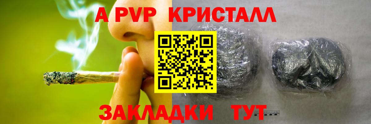 A-PVP СК КРИС Орехово-Зуево